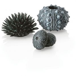 biOrb Set d'oursins noirs 