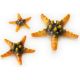 biOrb Set de 3 étoiles de mer jaunes 12,95 €