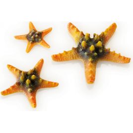 biOrb Set de 3 étoiles de mer jaunes