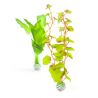 biOrb Set plantes soyeuses M vertes
