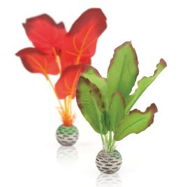 biOrb Set plantes S vertes & rouges 17,45 €