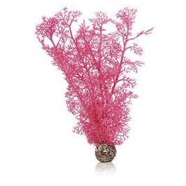 biOrb Corail M rose 11,95 €