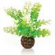 biOrb Caulerpe verte 11,95 €