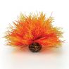 biOrb Lys de mer flamme