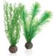biOrb Set de plantes S vertes 