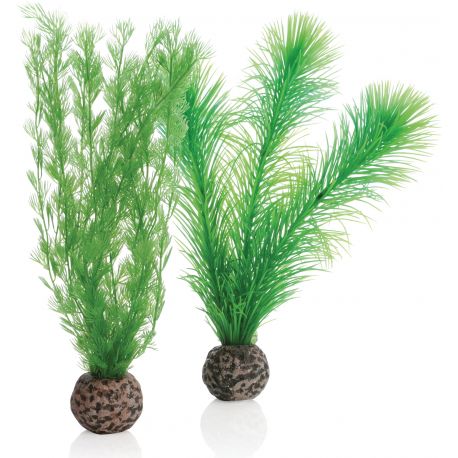 biOrb Set de plantes S vertes 
