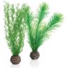 biOrb Set de plantes S vertes