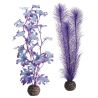 biOrb Set de plantes M violettes