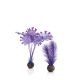 biOrb Set de plantes S violettes 17,45 €