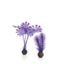 biOrb Set de plantes S violettes 17,45 €