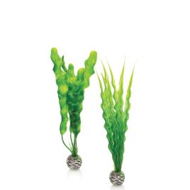 biOrb Set de plantes M vertes 9,75 €