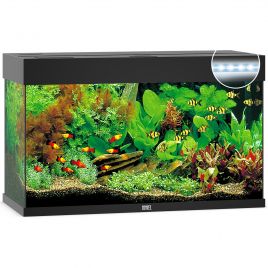Juwel aquarium Rio 125 led (2x led 590mm) noir