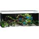 Juwel aquarium Rio 450 led (2x led 1200mm) blanc