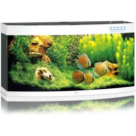 Juwel aquarium Vision 260 led (2x led 1047mm) blanc 505,50 €