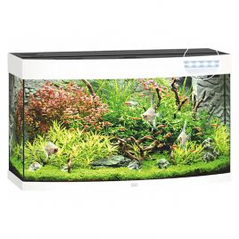 Juwel aquarium Vision 180 led (2x led 742mm) blanc 344,90 €