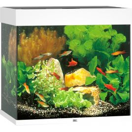 Juwel aquarium Lido 120 led (2x led 438mm) blanc