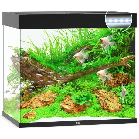 Juwel aquarium Lido 200 led (2x led 590mm) noir 339,00 €