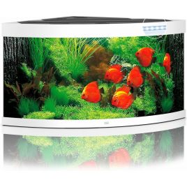 Juwel aquarium Trigon 350 led (2x led 438mm + 2x led 895mm) blanc 853,70 €