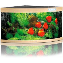 Juwel aquarium Trigon 350 led (2x led 438mm + 2x led 895mm) chêne claire 853,70 €