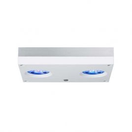 Hydra 32HD rampe LED blanche 439,00 €