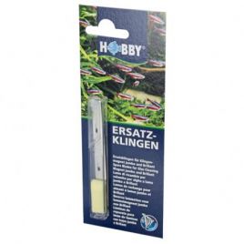 Nettoyeur Magnétique Pour Aquarium – Aimants Terres Rares, Pour Verre Jusqu’à 10 Mm, Petite Taille