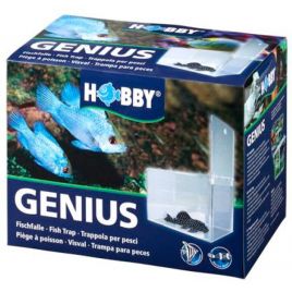 Hobby Genius piège à poisson