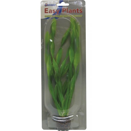Superfish easy plant haute 30 cm nr. 6 8,00 €