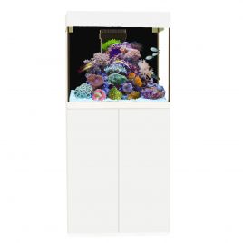 Aqua Medic aquarium Kauderni CF blanc + 205€ en bon d'achats coraux,poissons.
