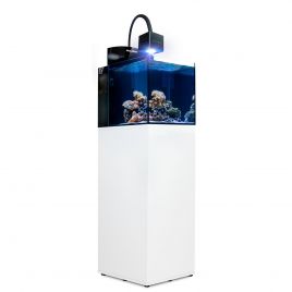 Aqua Medic aquarium Blenny Qube aquarium d’eau de mer complet avec meuble + 71.70€ en bon d'achats coraux,poissons