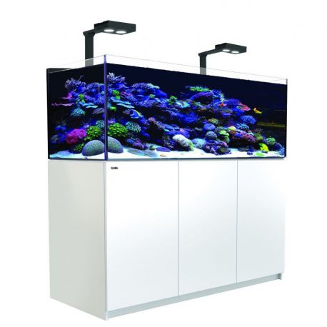  Reefer™ XXL 625 Blanc G1 