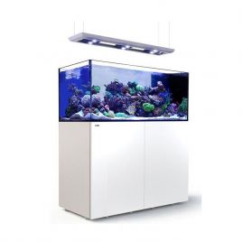 Reefer Peninsula Deluxe P650 Blanc 3 Reefled 160s Et Trois Poten