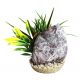 Sydeco Zebra Stone Grass H : 14 cm 6,00 €