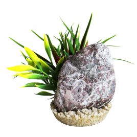 Sydeco Zebra Stone Grass H : 14 cm