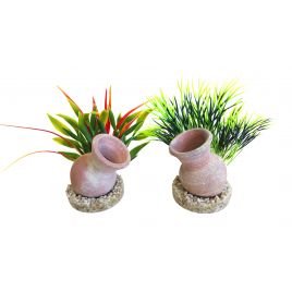 Sydeco Mini Jar Plants H : 12 cm  3,75 €