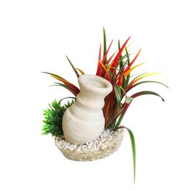 Sydeco Cannon Grass H : 15 cm