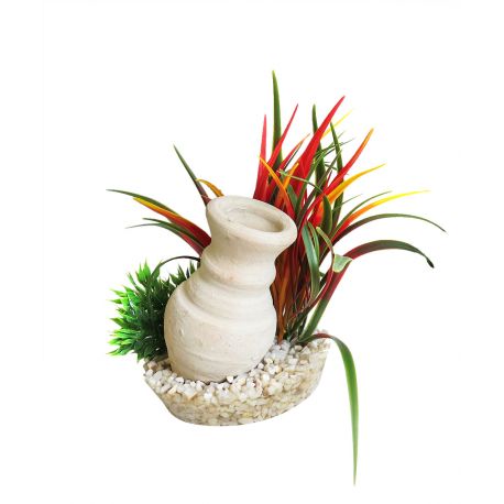 Sydeco Cannon Grass H : 15 cm