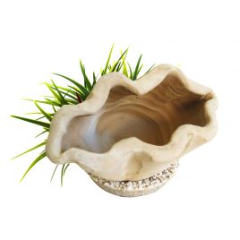 Sydeco Marine Shelter Plants H : 16 cm 