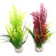 Sydeco Tropica H 20 cm  3,10 €