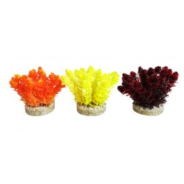 Sydeco Nano Bush Colored H 9 cm 5,40 €