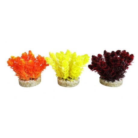 Sydeco Nano Bush Colored H 9 cm 5,40 €