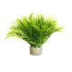 Sydeco Aquatic Leaves H 11 cm 4,95 €