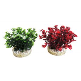 Sydeco Nano Flowering Bush H 10 cm