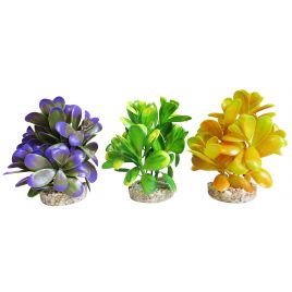 Sydeco Pebble Plants H 12 cm 5,00 €
