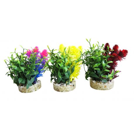 Sydeco Magic Nano Garden H 10 cm 4,40 €