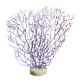 Sydeco Coral Hedge H 21 cm