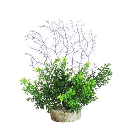 Sydeco Coral Fern H 19 cm 