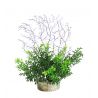 Sydeco Coral Fern H 19 cm 