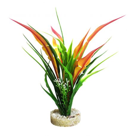 Sydeco Anubias Pearl H 22 cm  