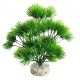 Sydeco Japanese Tree H 18 cm