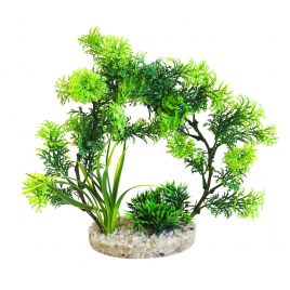 Sydeco Arch Plants H 21 cm 